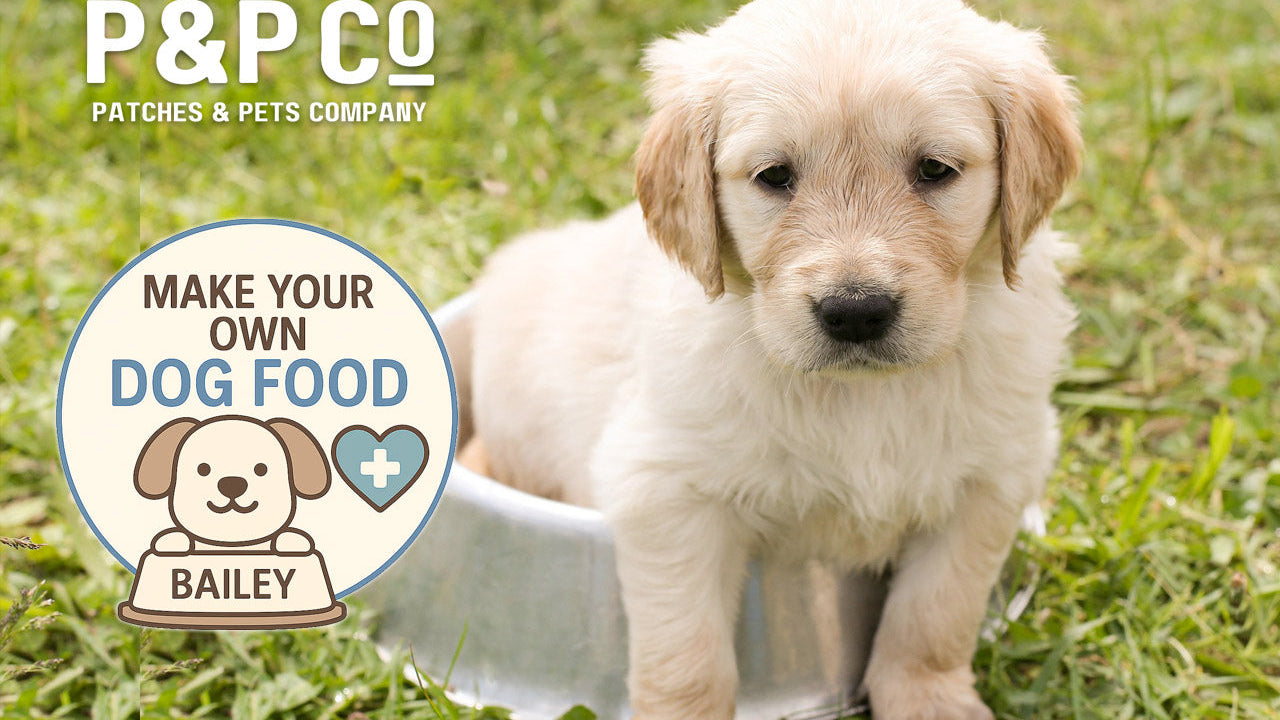 Dog sitting in his own bowl of homemade dog food