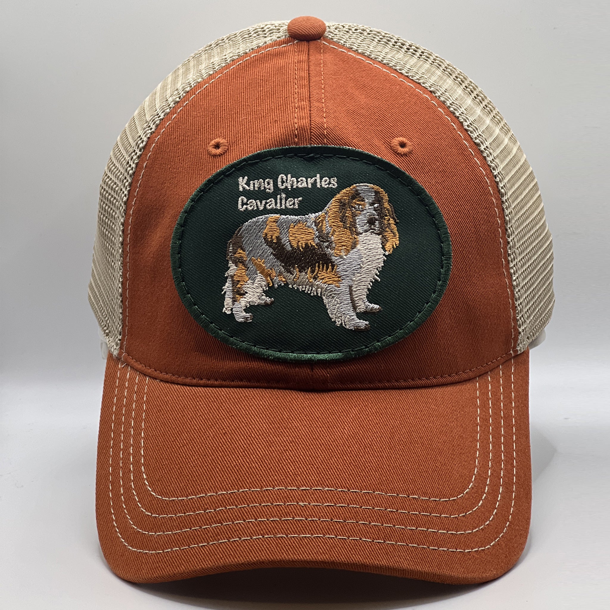 Rescue Dog Hat With King Charles Cavalier