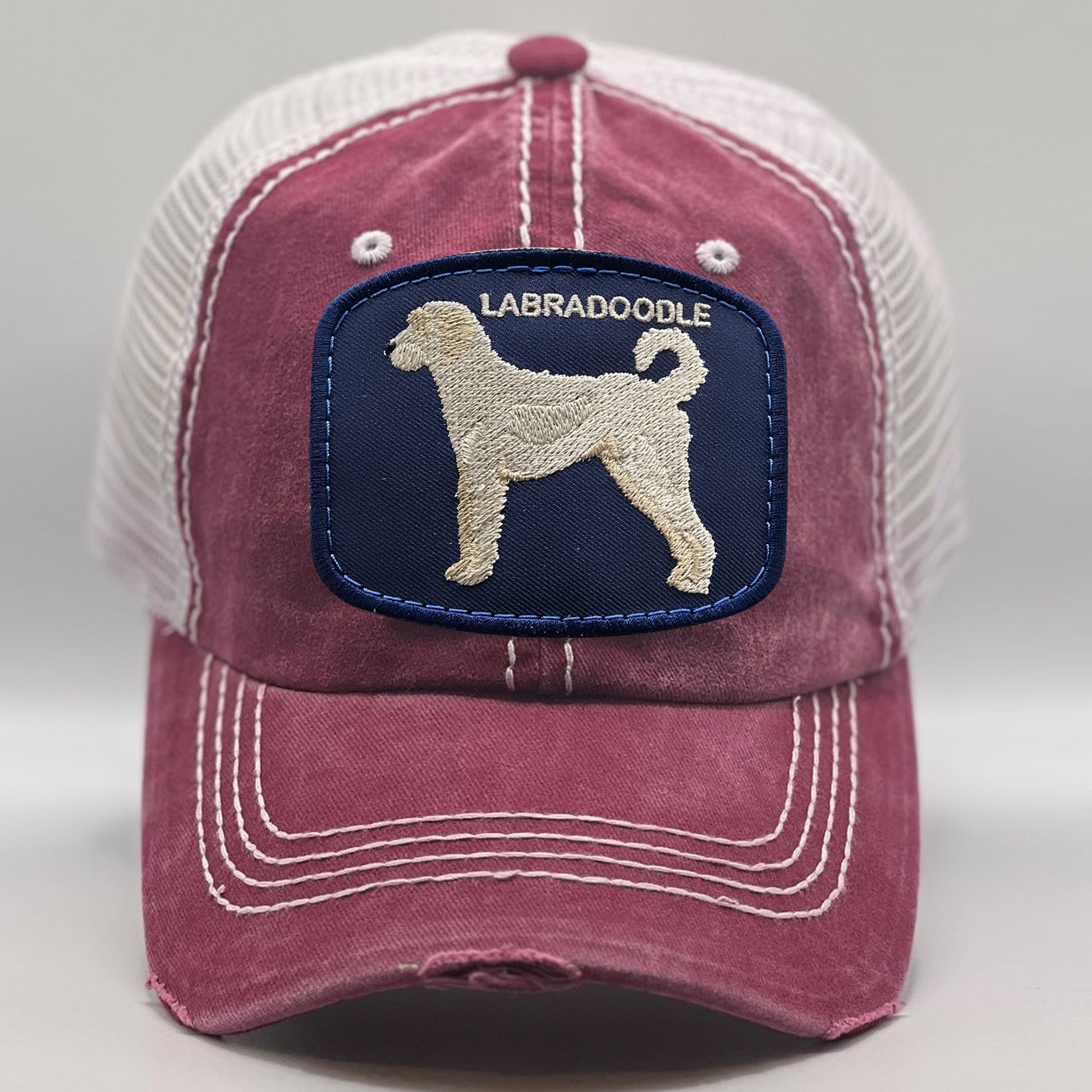 Labradoodle Hats with Dogs