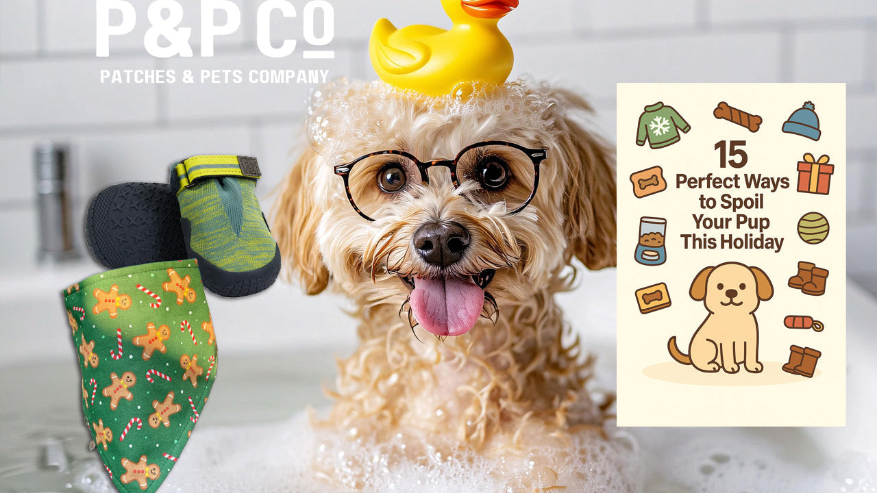 Lead image for blog post about holiday gift ideas for dogs from dog lovers