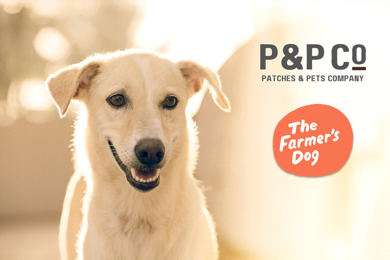 White dog and Patches And Pets Logo and The Farmer's Dog Logo