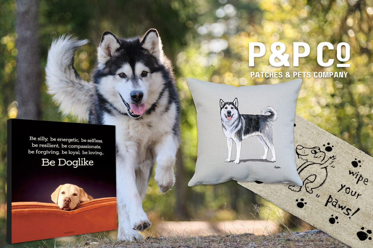 Home Decor Dog Gift Ideas