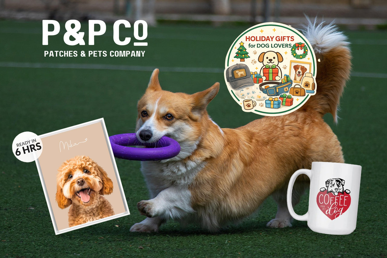 Dog owner gifts for the holidays