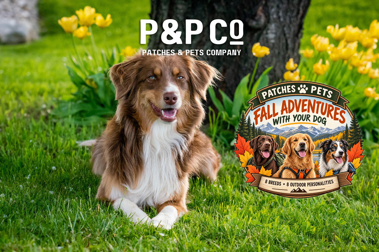 Lead image for blog post on dogs and ideal owners for fall adventures