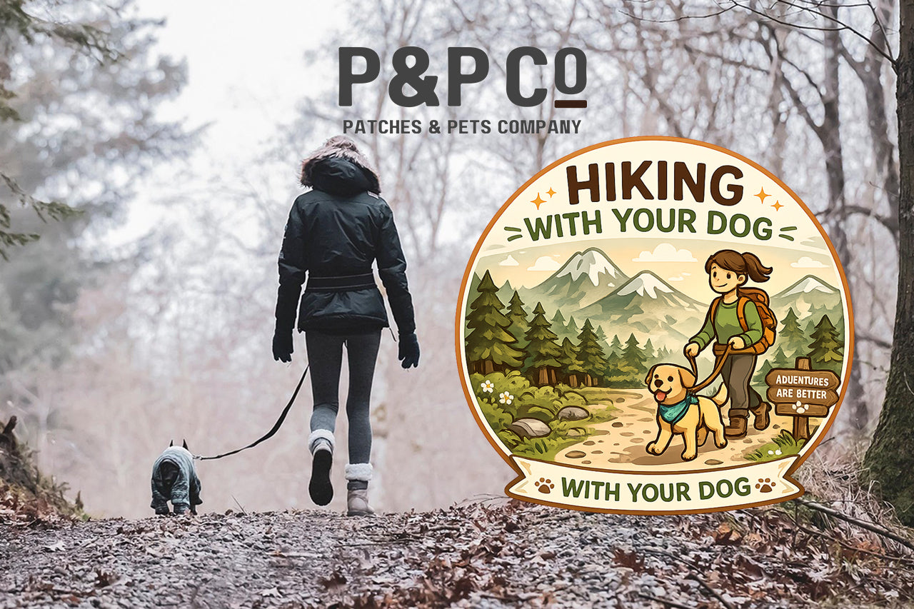 Hiking with Your Dog: Safety Tips & Trail Essentials for Every Adventure