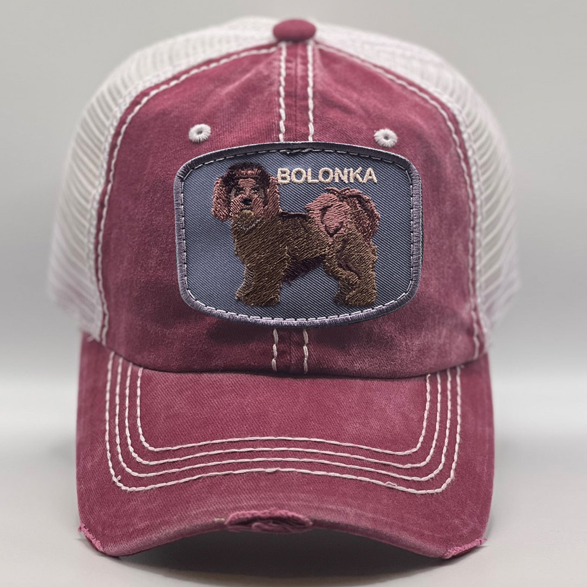 Bolonka Dog Breed Hat