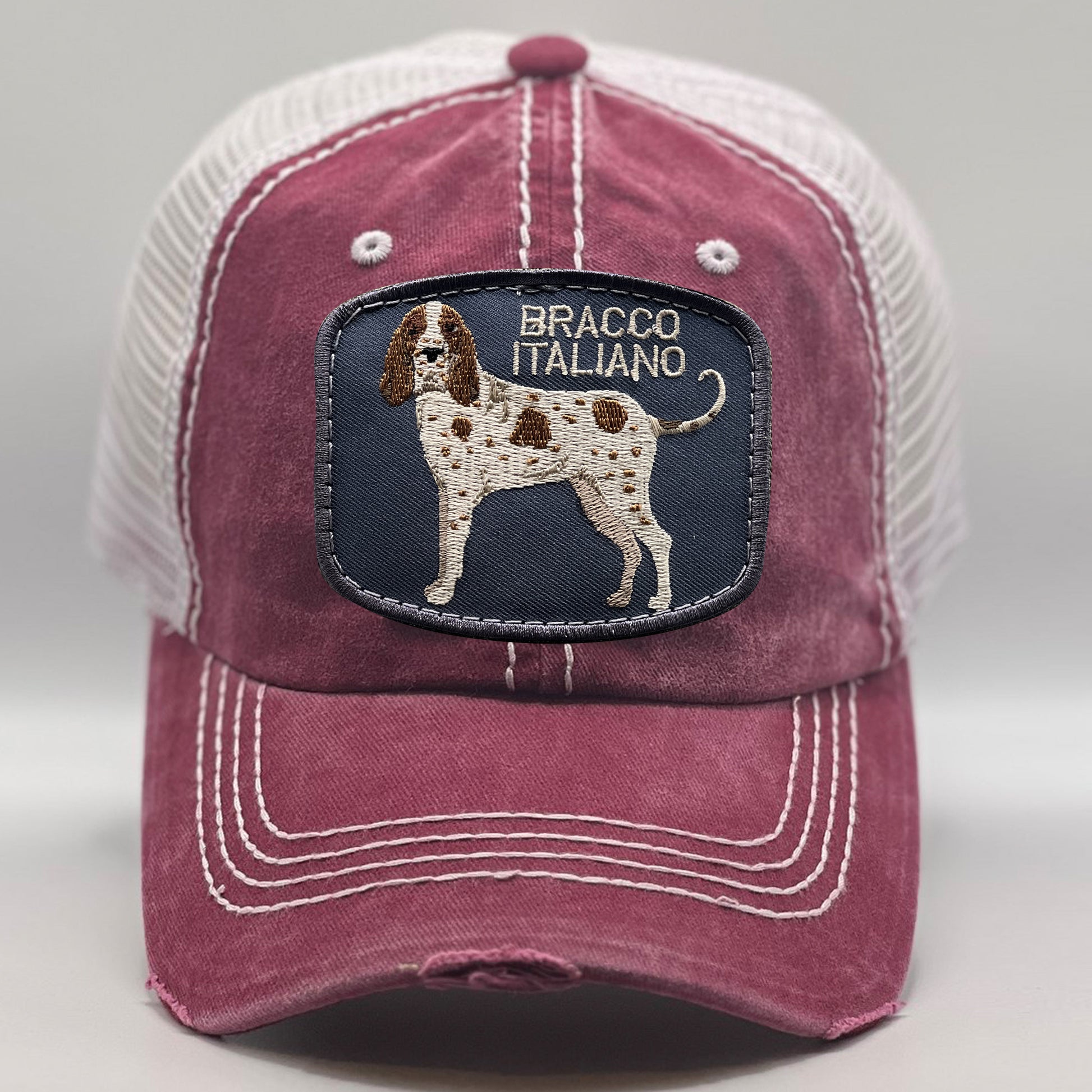 Italian Dog Breed Hats Bracco Italiano