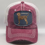 Hat With Catahoula Leopard Dog