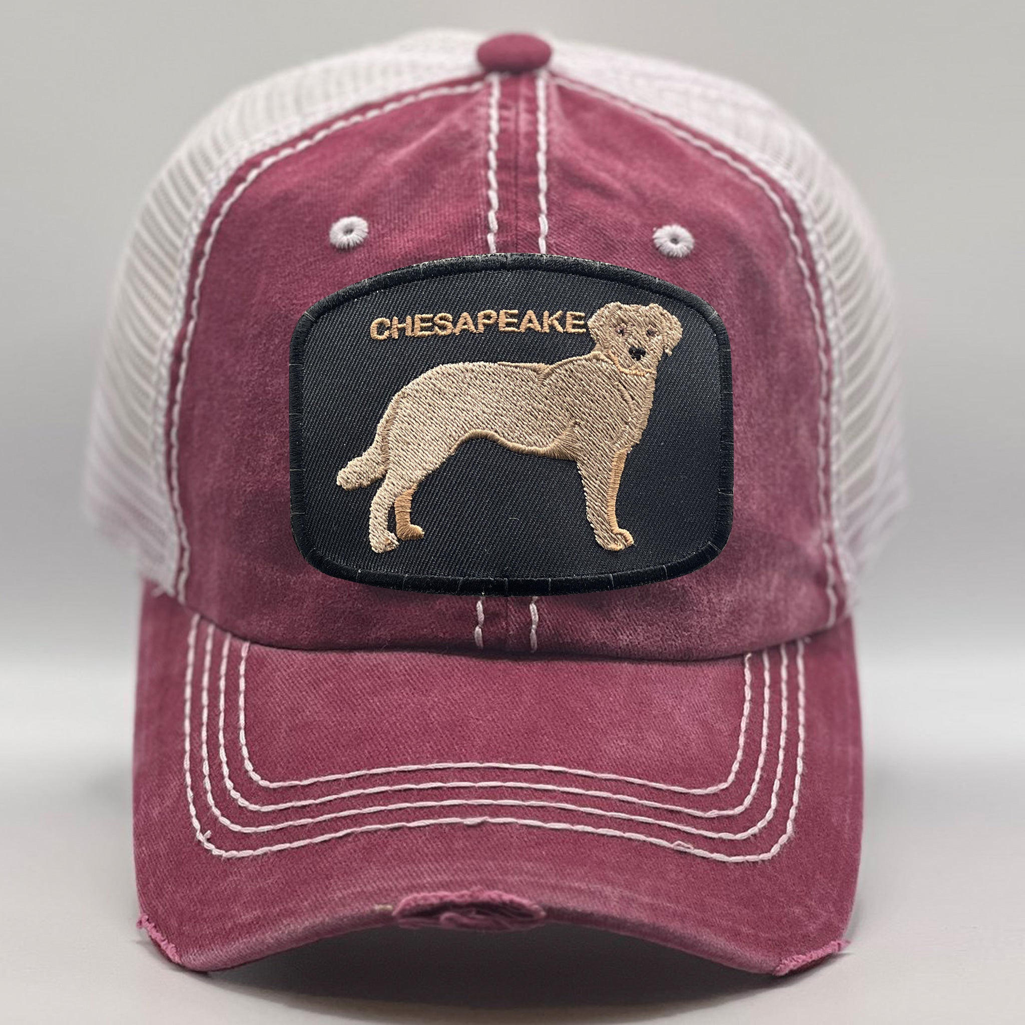 Chesapeake Dog Dad Hat
