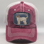 Cream Goldendoodle Dog Hat