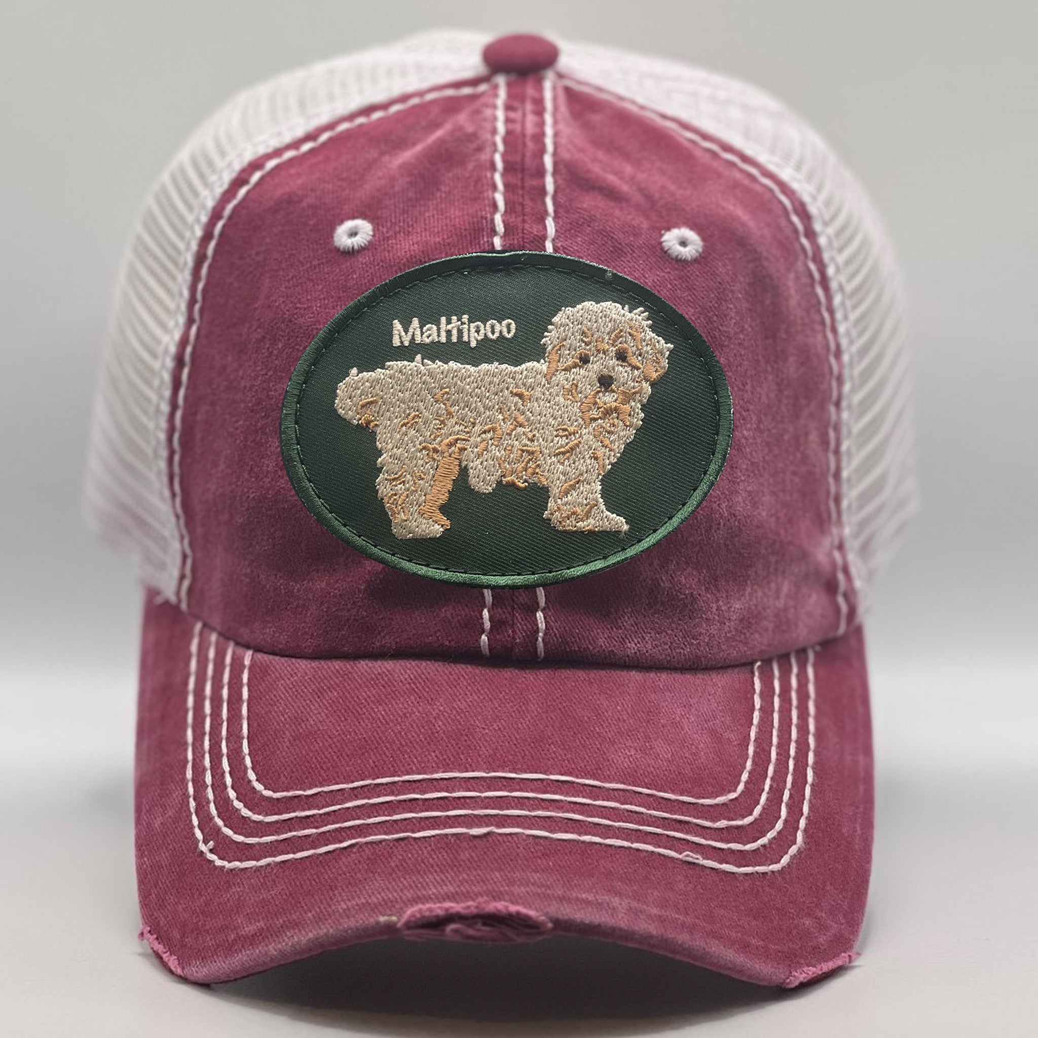 Maltipoo Multicolor Hats for Dog Lovers