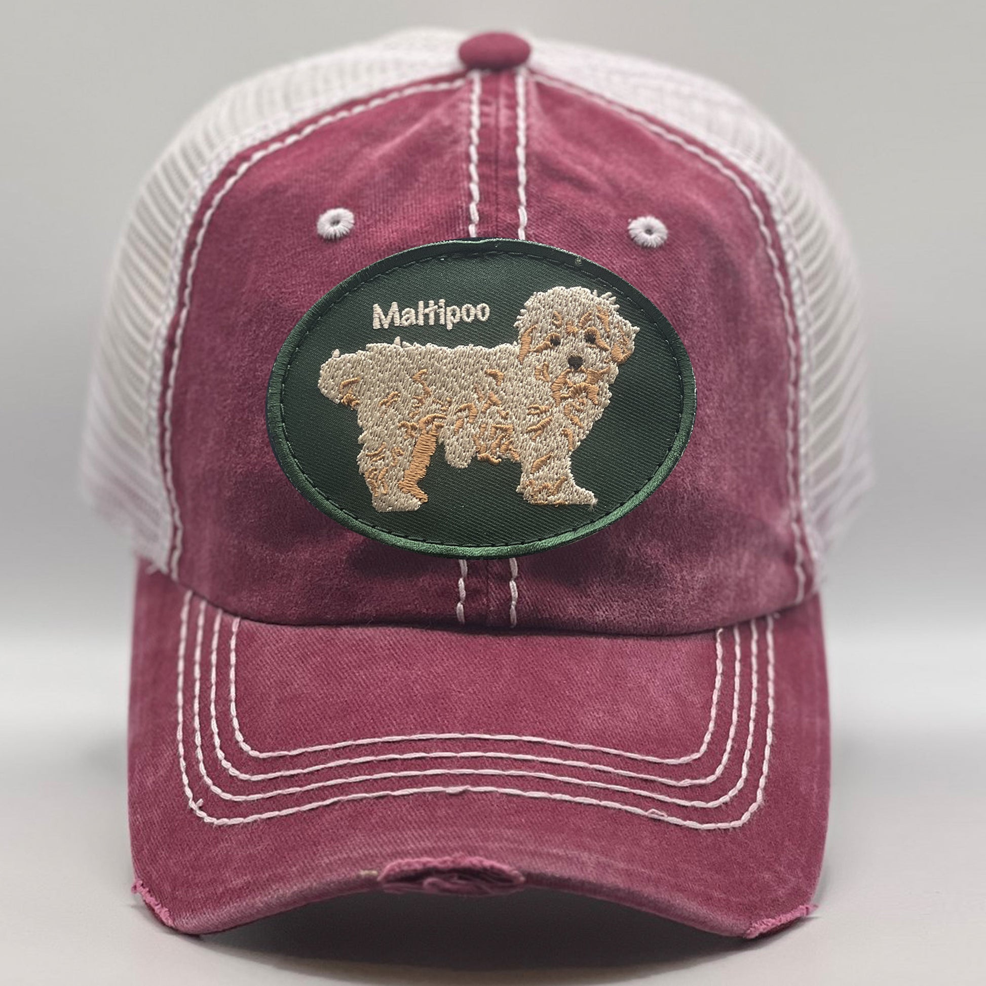 Maltipoo Multicolor Hats for Dog Lovers