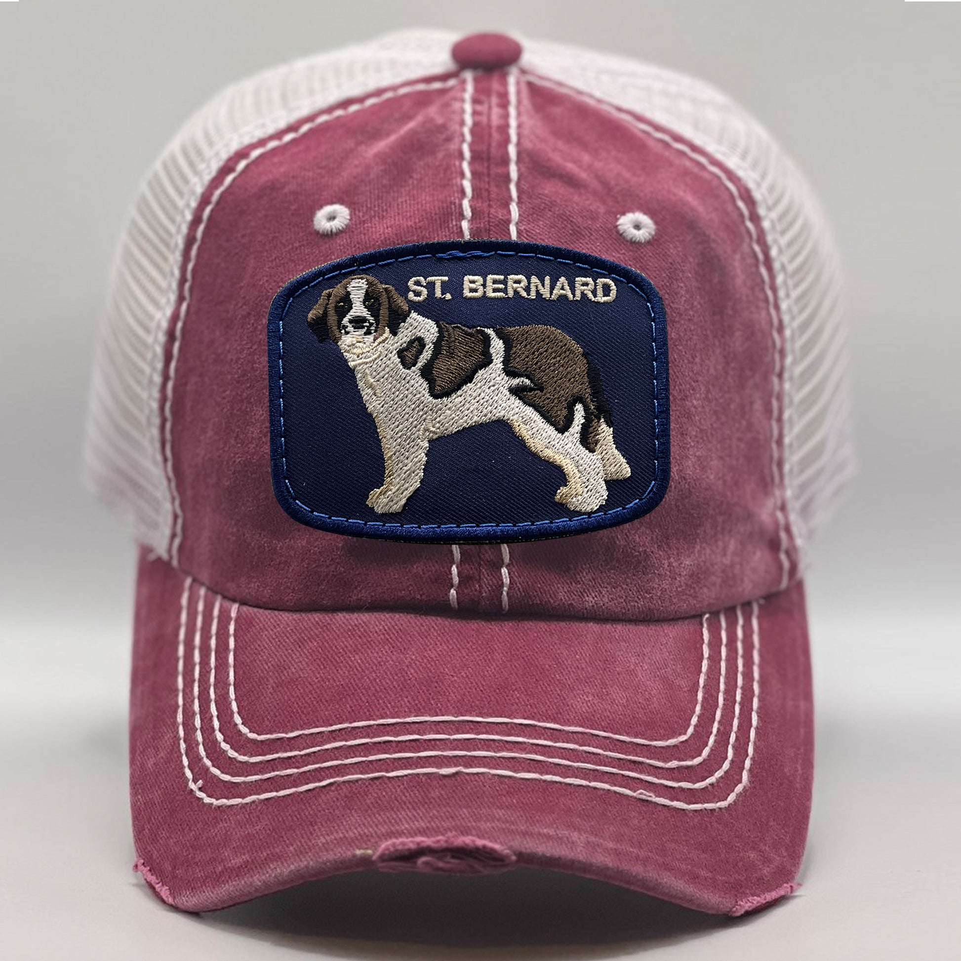 Best Dog Hats With St. Bernard